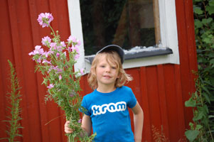 blommor-till-farmor.jpg