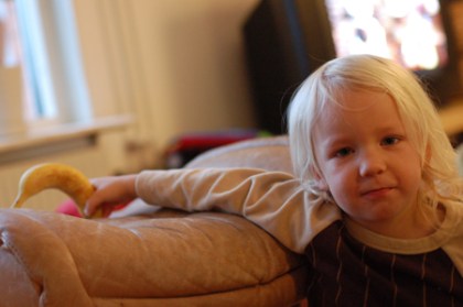 en gulbrun regnbåge